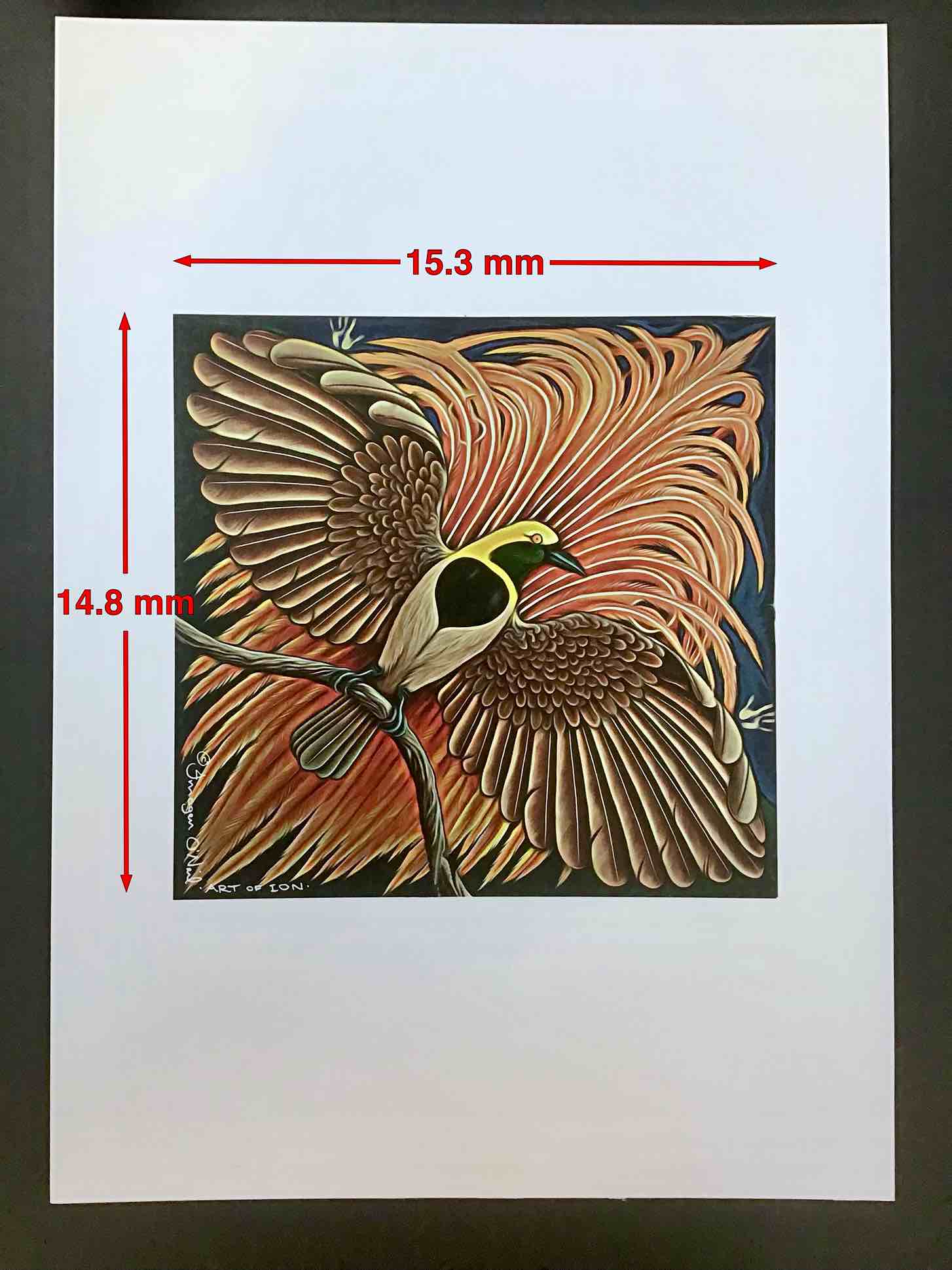 Quality Art Prints on Paper