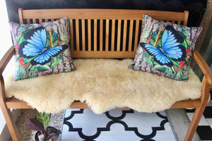 Ulysses Butterfly Cushion Cover