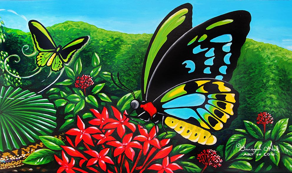 Birdwing Butterfly Stretched Canvas Print