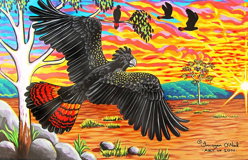 Red-tailed Black Cockatoo Stretched Canvas Print
